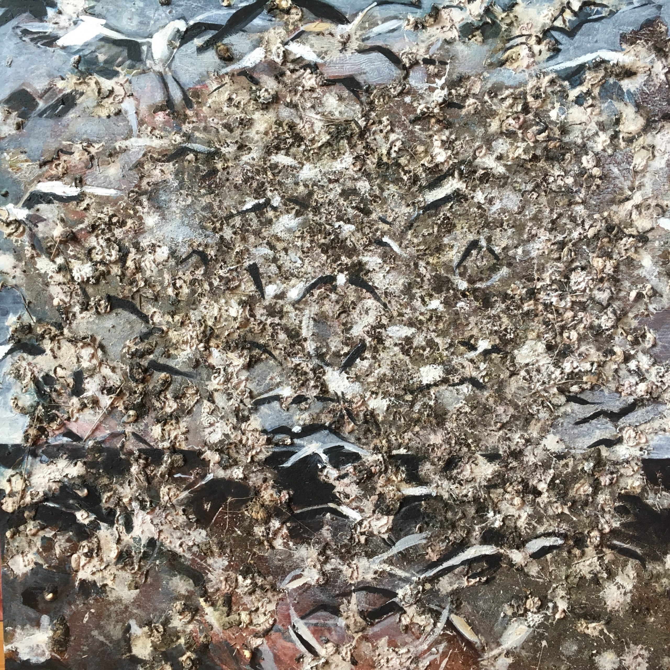 Painting by Rosanna Marmont — Birdshit III, 2018, mixed media on maple