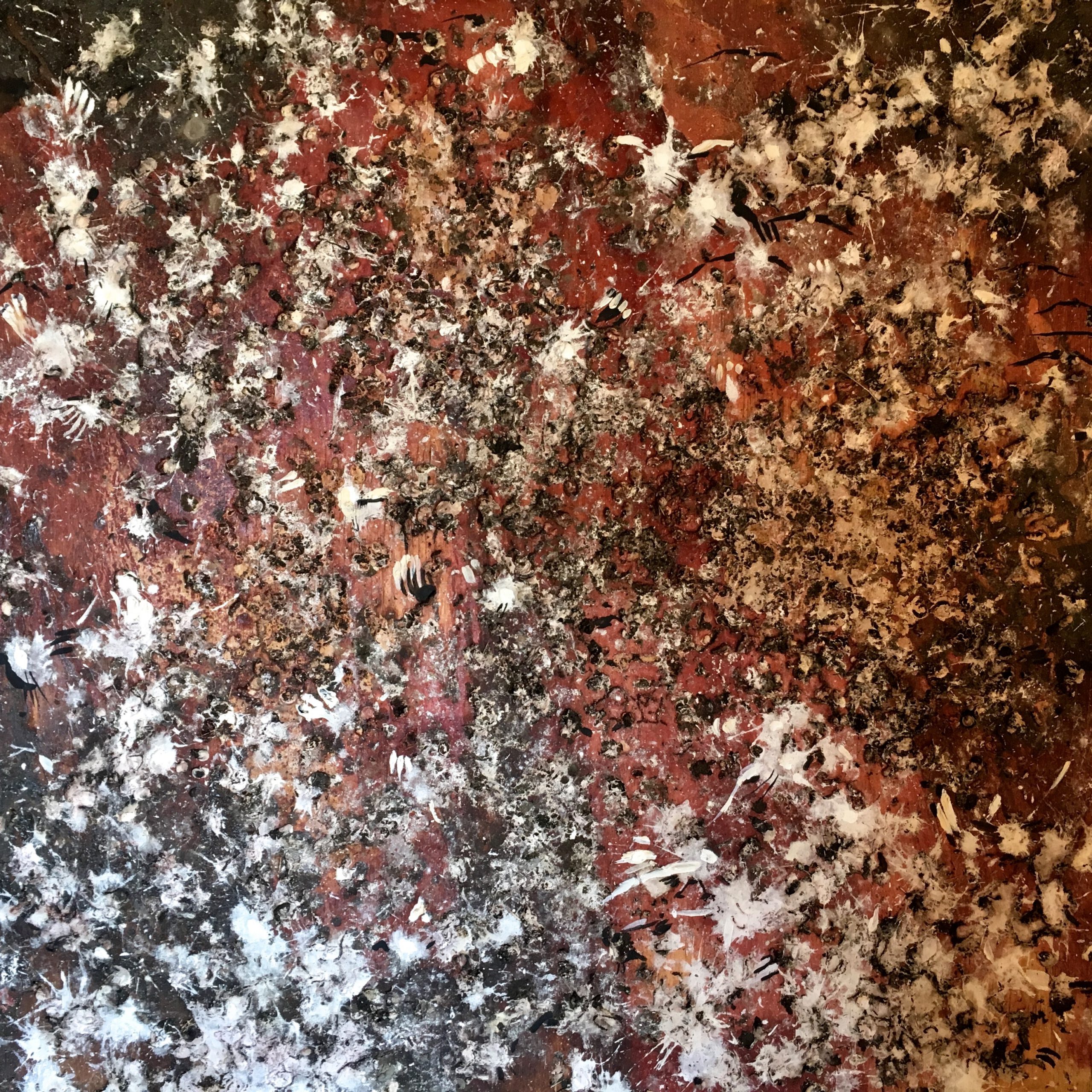Painting by Rosanna Marmont — Chicken Shed, 2018, mixed media and bird manure on board