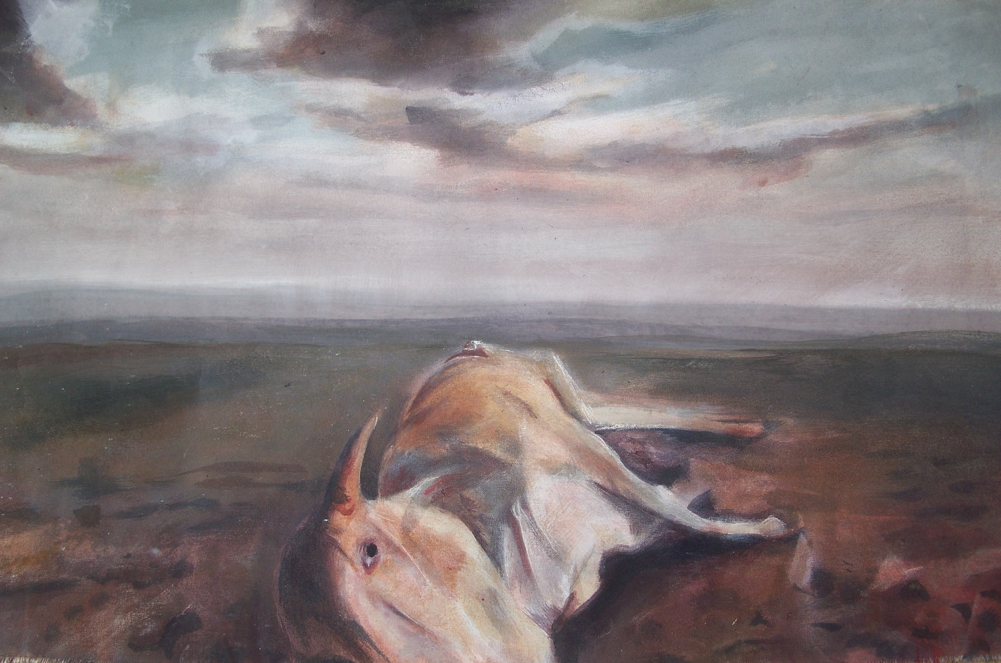 Painting by Rosanna Marmont — Cow Carcass, 2009, oil on canvas