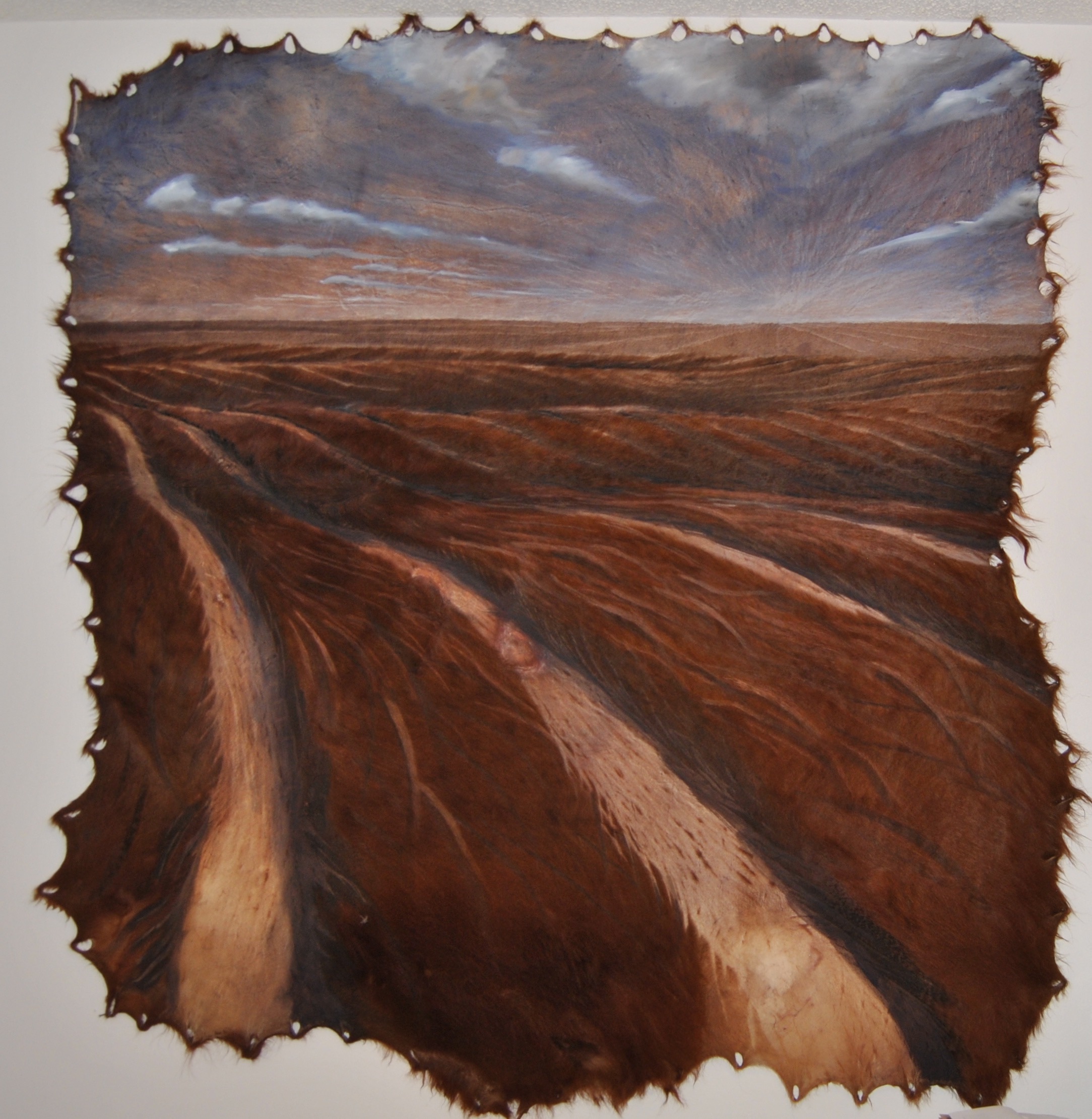 Painting by Rosanna Marmont — Cow Hide I, 2013, oil on cow hide