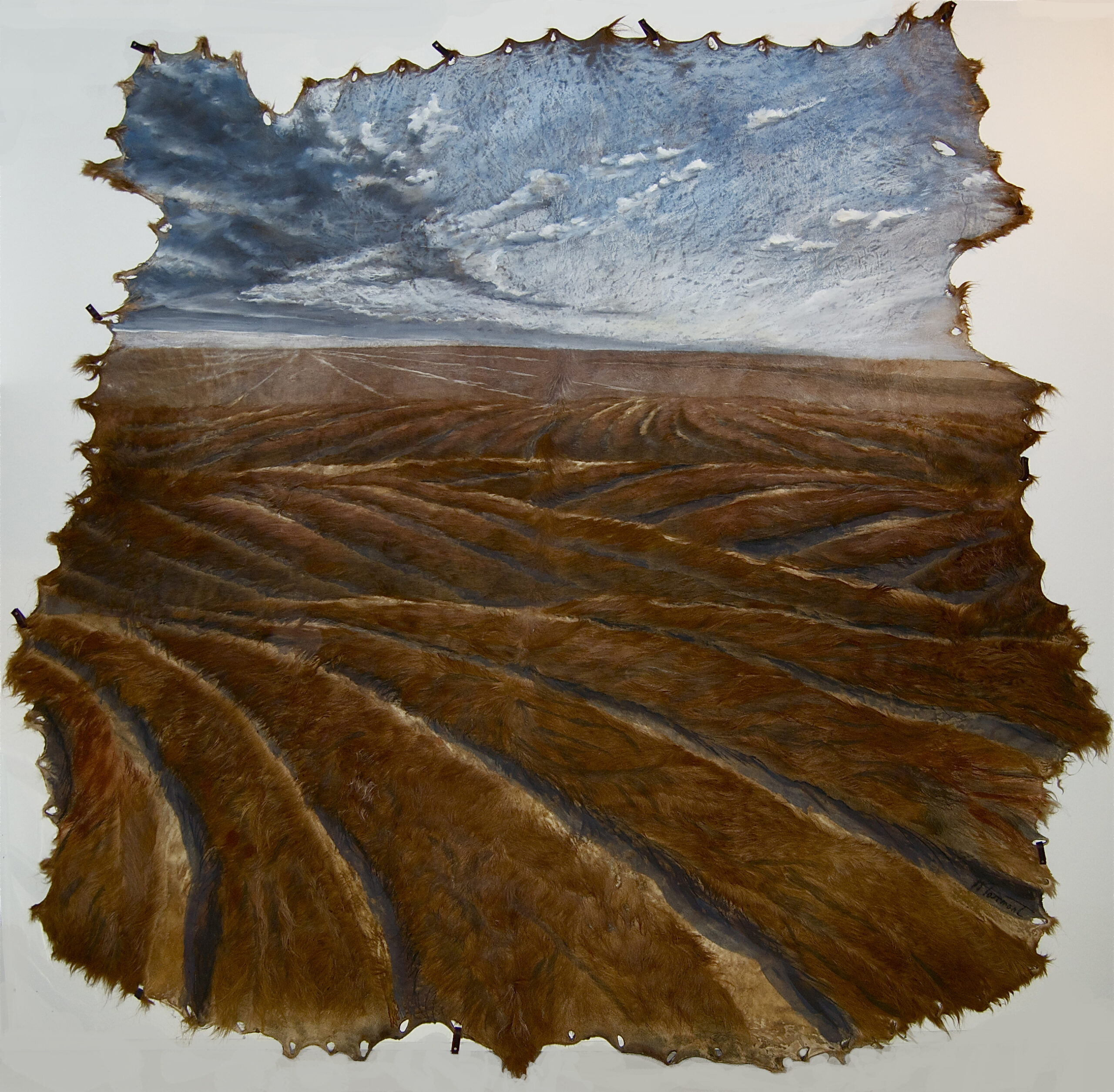 Painting by Rosanna Marmont — Cow Hide II, 2013, oil on cow hide