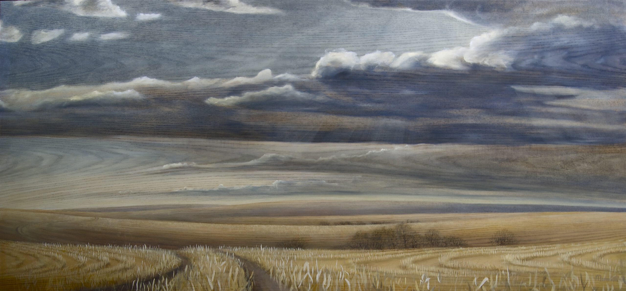 Painting by Rosanna Marmont — Dirt Road, 2014, oil and acrylic on oak
