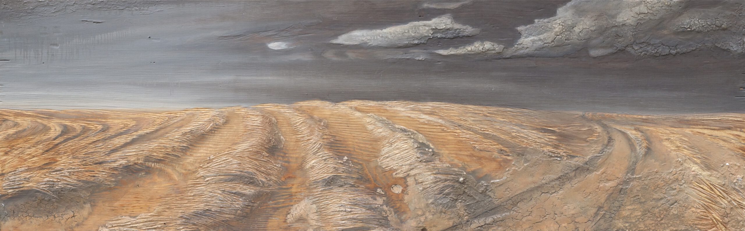 Painting by Rosanna Marmont — East of Twin Butte, 2010, acrylic, clay, and oil on fir