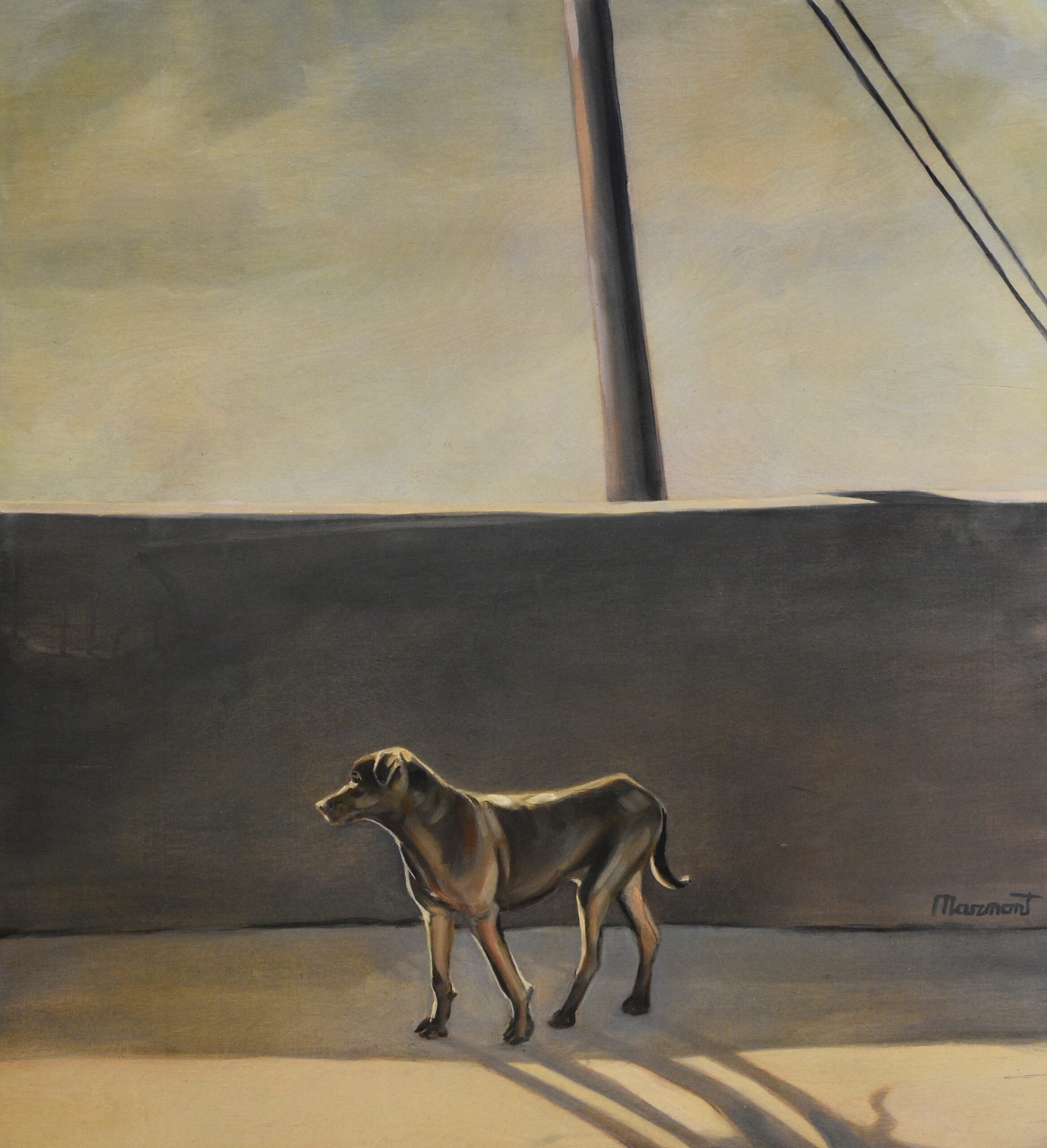Painting by Rosanna Marmont — Tucson Stray, 2019, oil and pencil maple